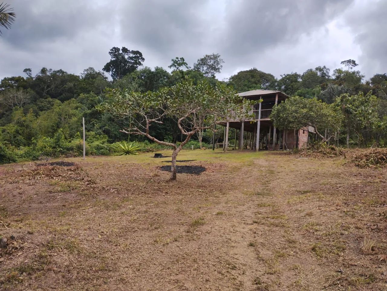 SÍTIO DOS SONHOS À VENDA! 582.000m² DE PURA NATUREZA EM PRESIDENTE FIGUEIREDO-AM - Foto 2
