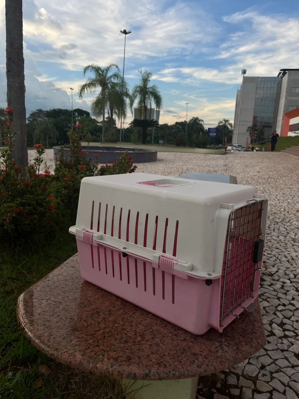 Vendo Casa de Transporte de Animais  - Foto 2