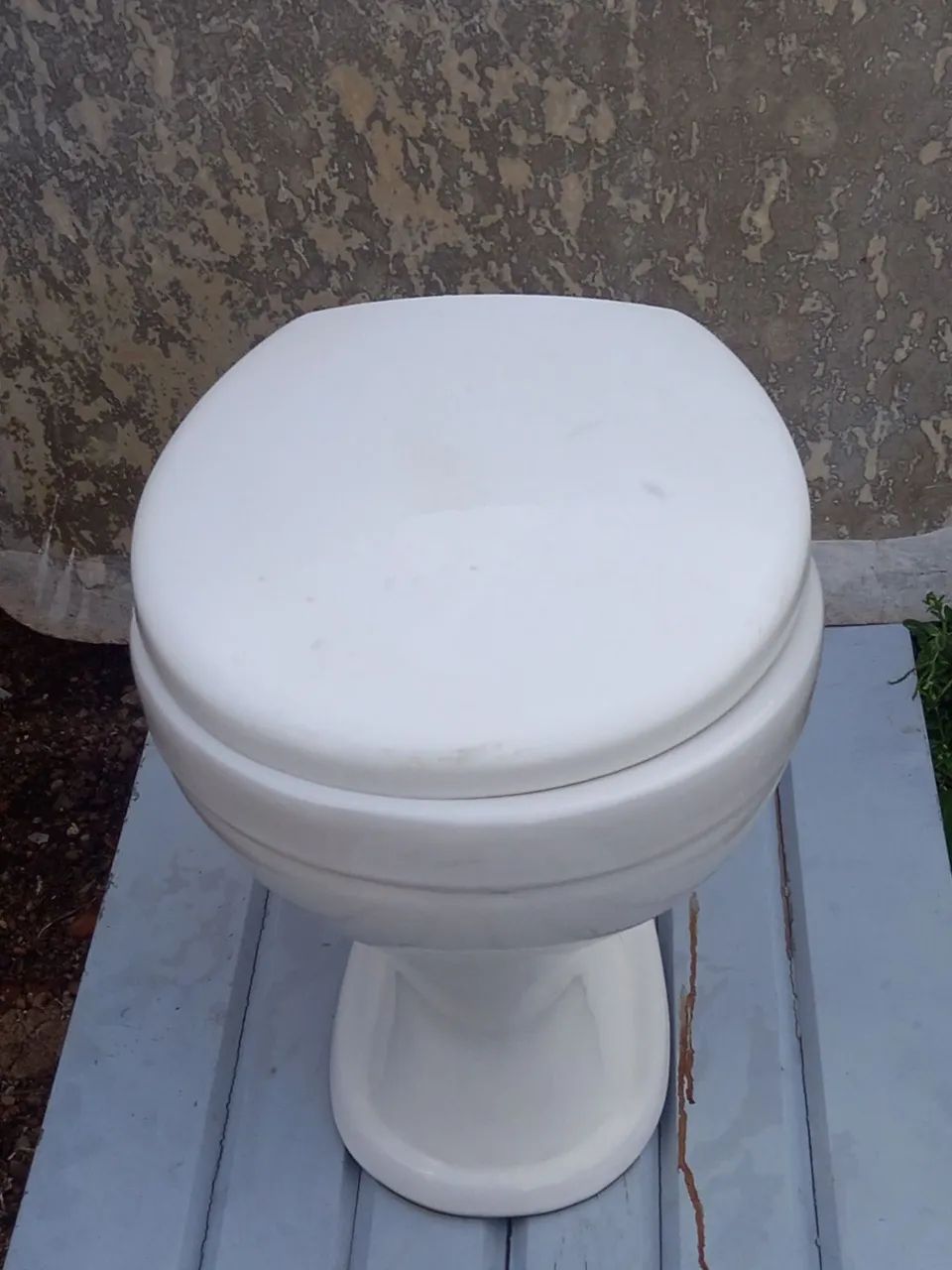 Toilet bowl