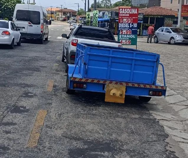Caçamba para Caminhão - Azul - Foto 2