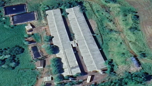 Vende-se Granja Equipada com Dois Galpões - Pronta para Produção! *