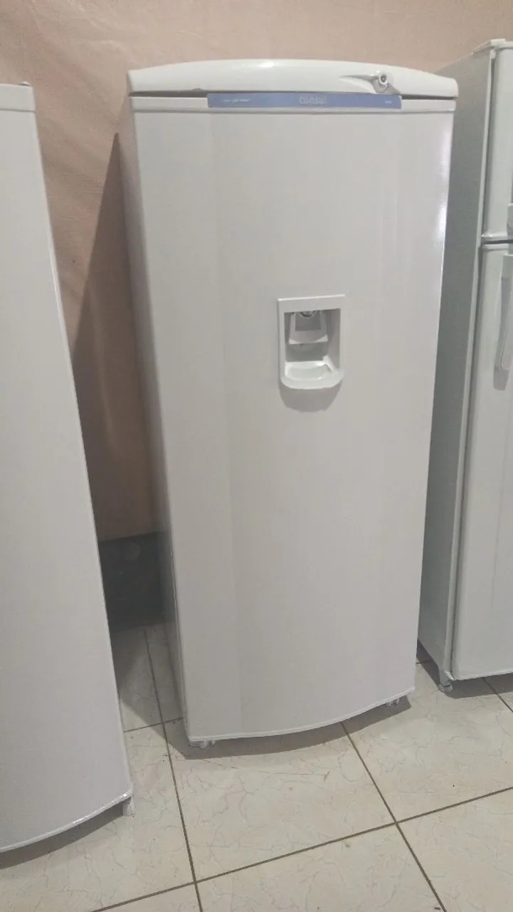Freezer Vertical Consul