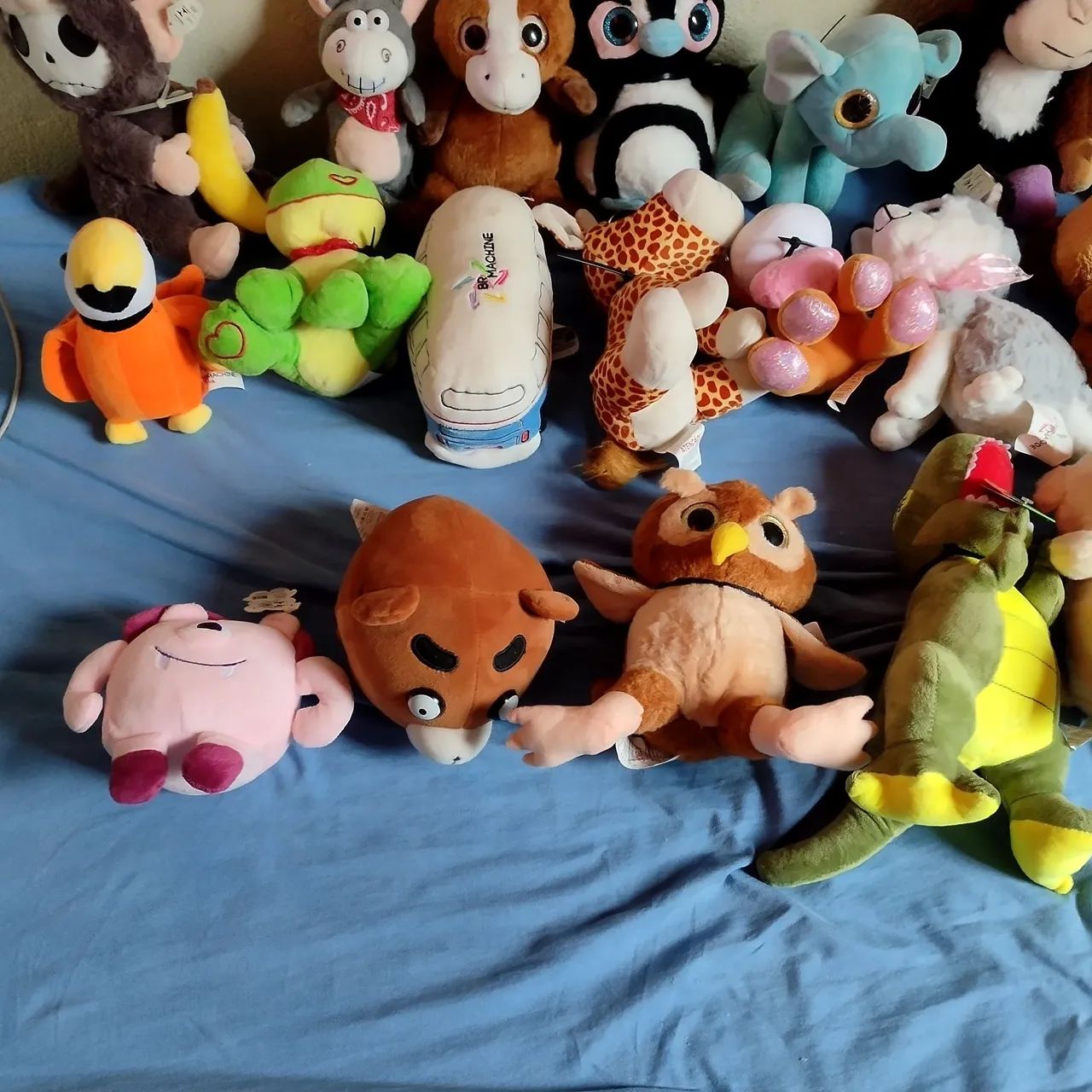 Bichos de pelúcia 