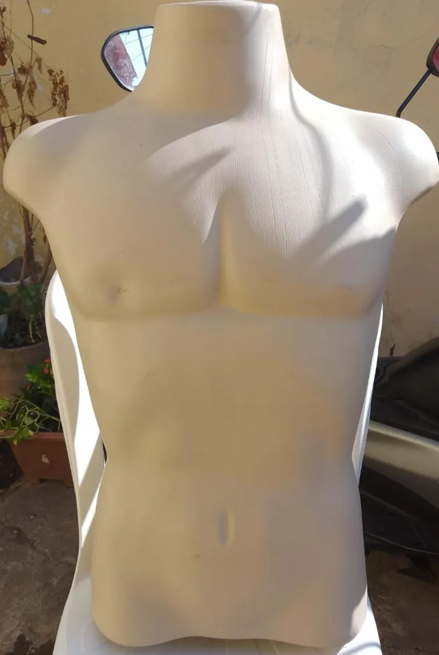 Mannequin Torso Masculino