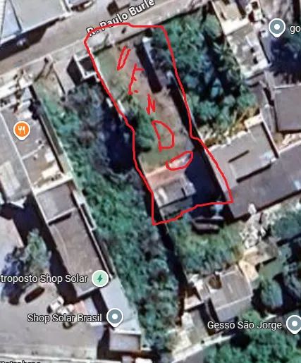 Foto - Cabo Frio - Palmeiras