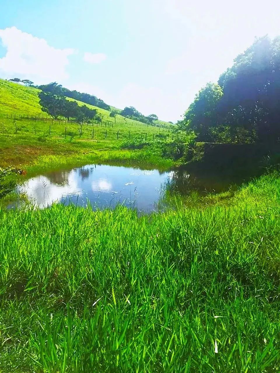 Fazenda de 194 tarefas - Foto 4