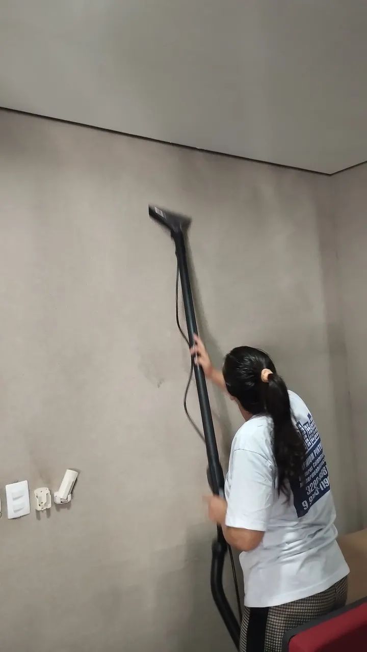 Limpeza a seco - Foto 3