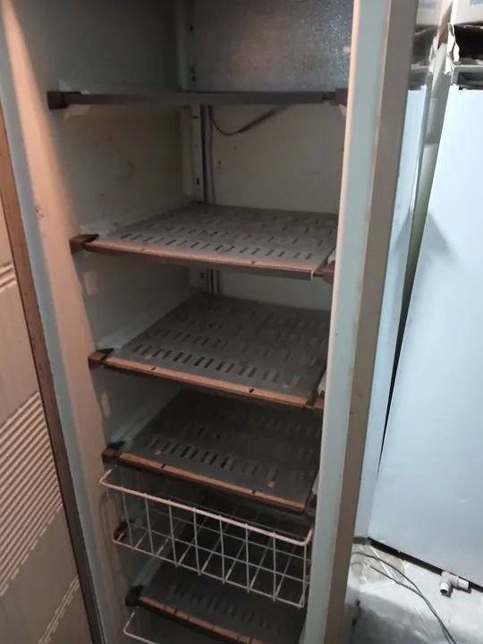 Freezer prosdocimo 110vol  - Foto 2
