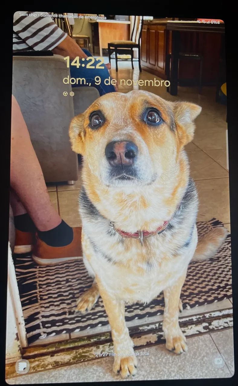 Tablet Samsung Galaxy TAB S6 LITE - Foto 5