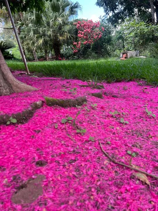 Aluguel de chácara para eventos e festa dentro de Goiânia  - Foto 15