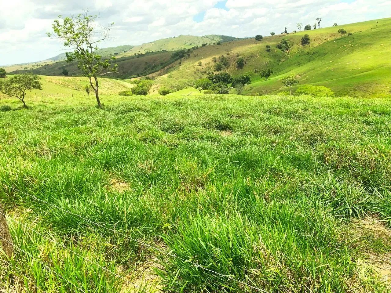 Fazenda de 194 tarefas - Foto 2