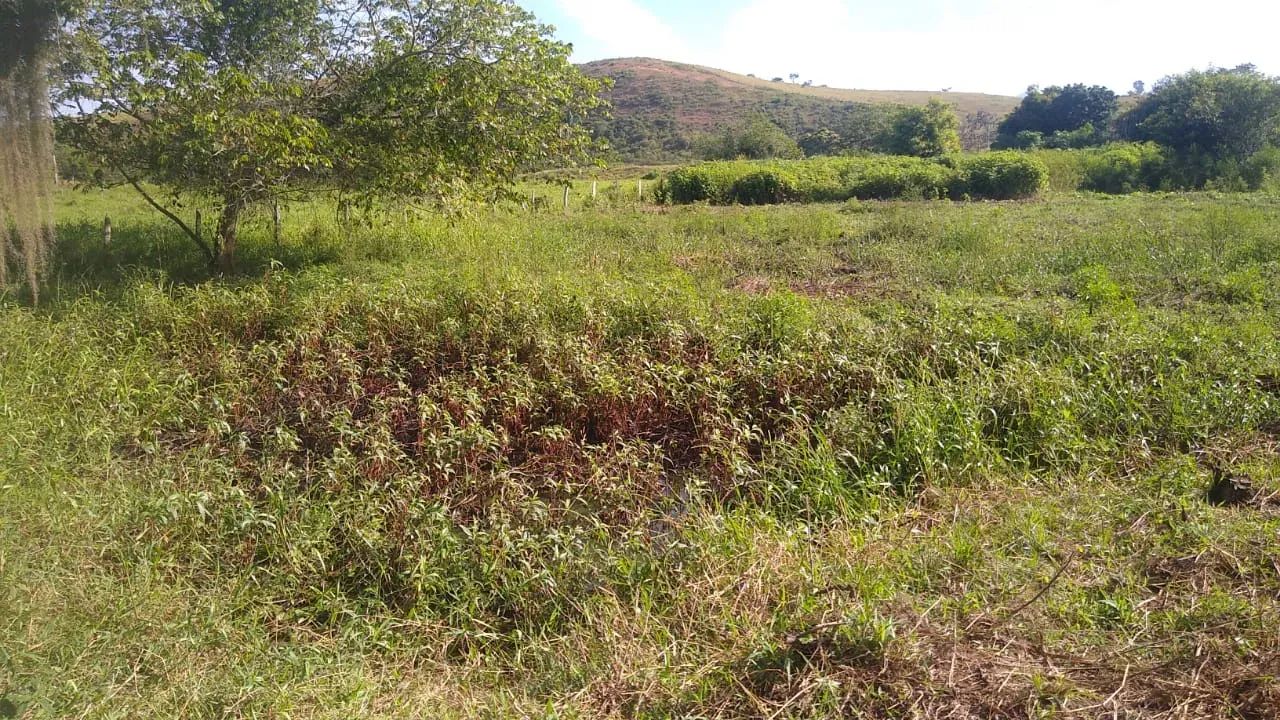 Venda-se este terreno de 21.000 M2 para a construção de sítio no interior do Município de 