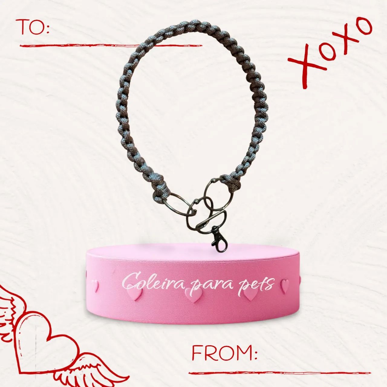 Guia para pets - Foto 6