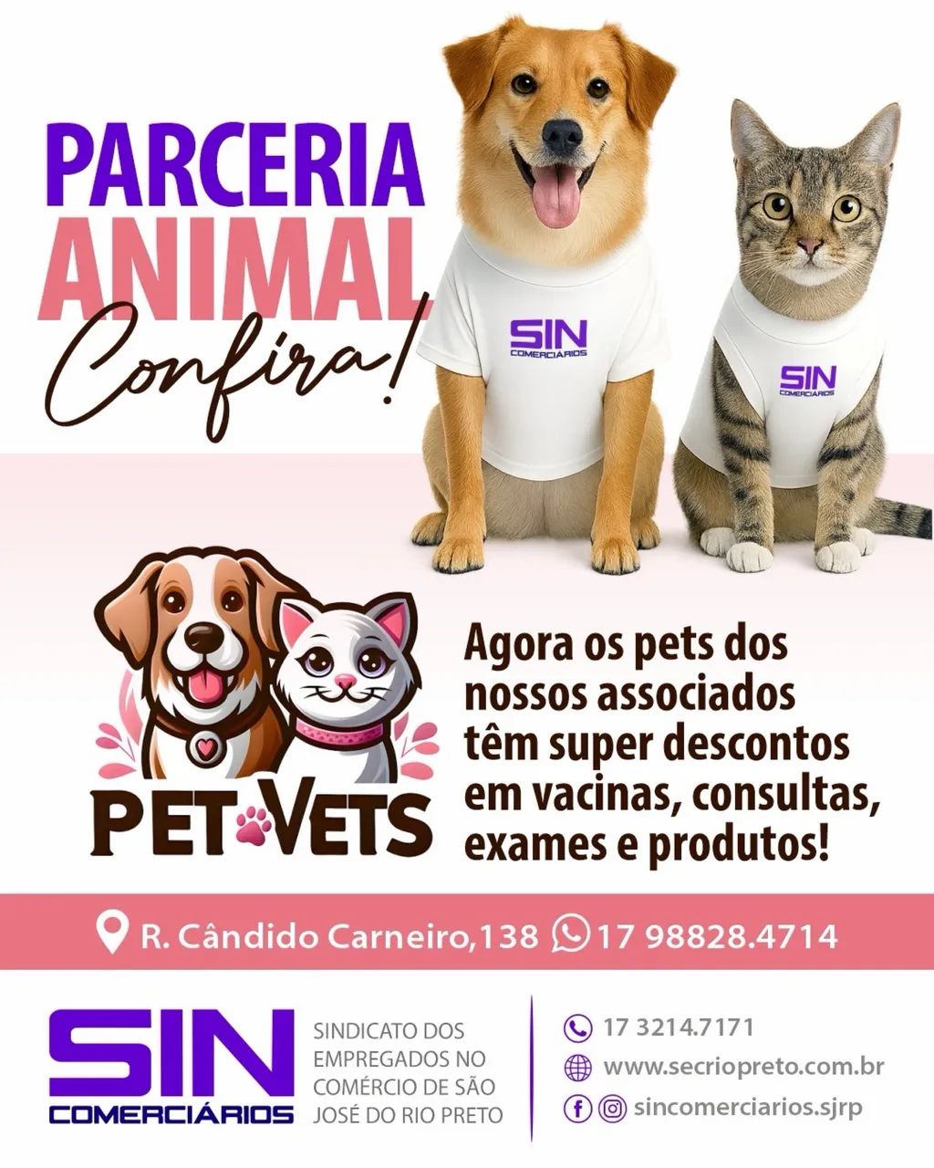 Promoção leve 3, pague 2 - Foto 5
