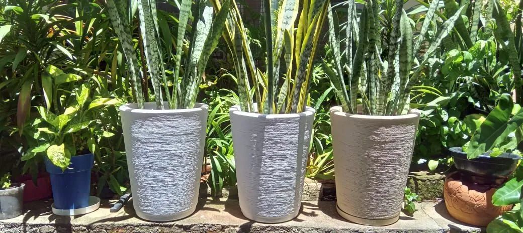 Vasos espada de São Jorge 