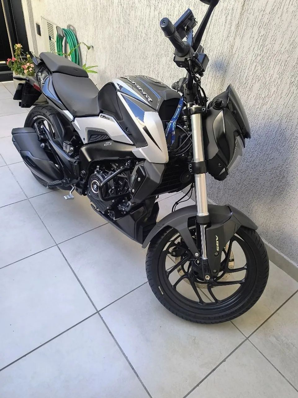 Dominar 250