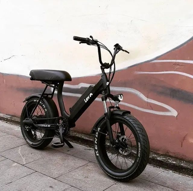 CRUISER LEV REVISADA