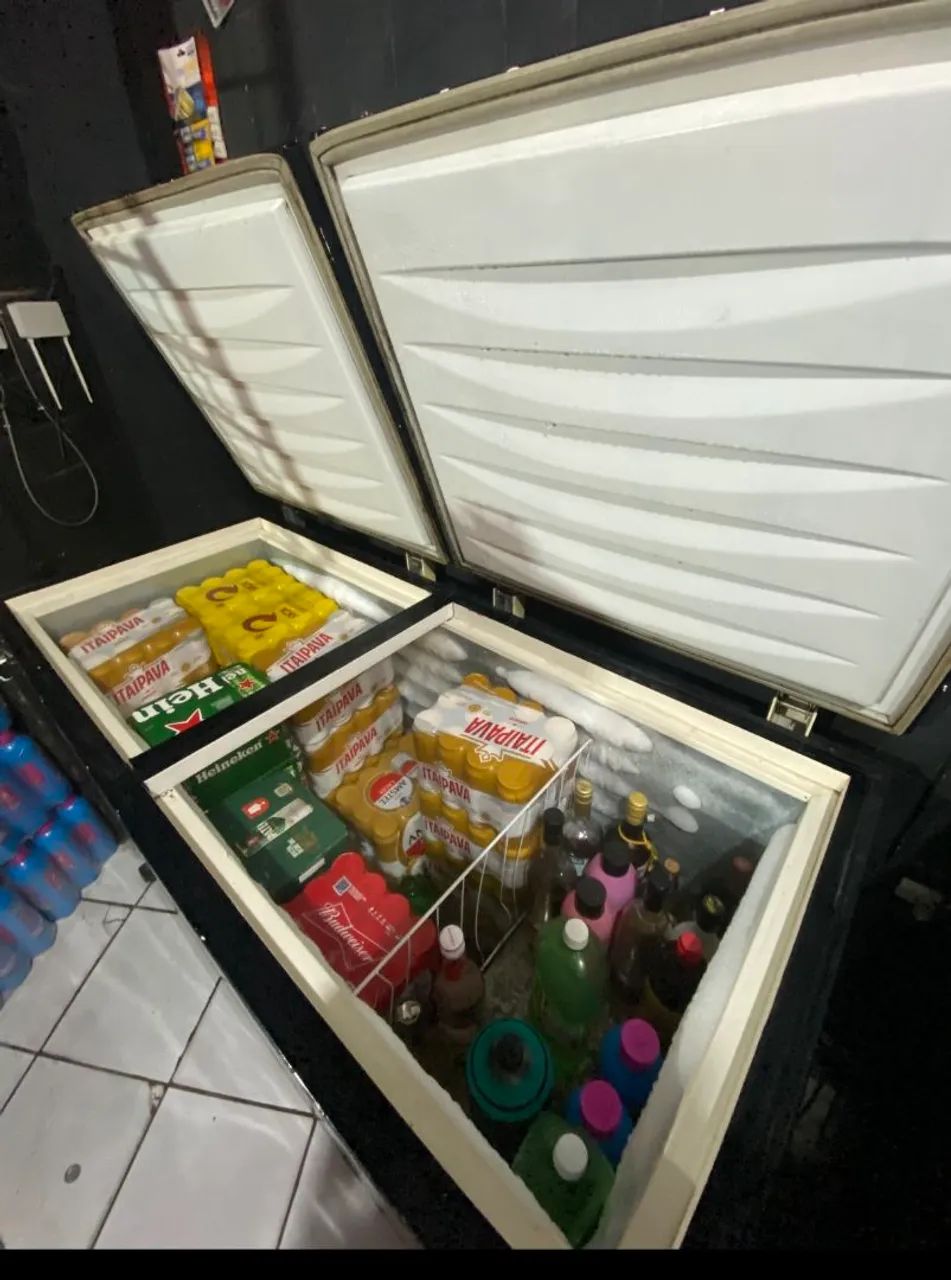 Freezer Horizontal 