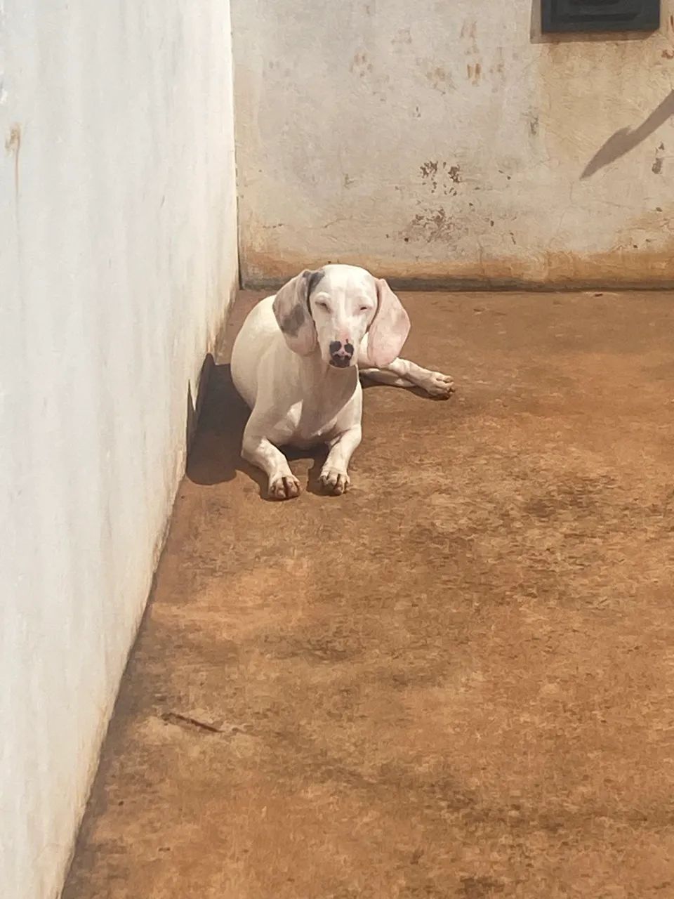 Procuro namorado  - Foto 2