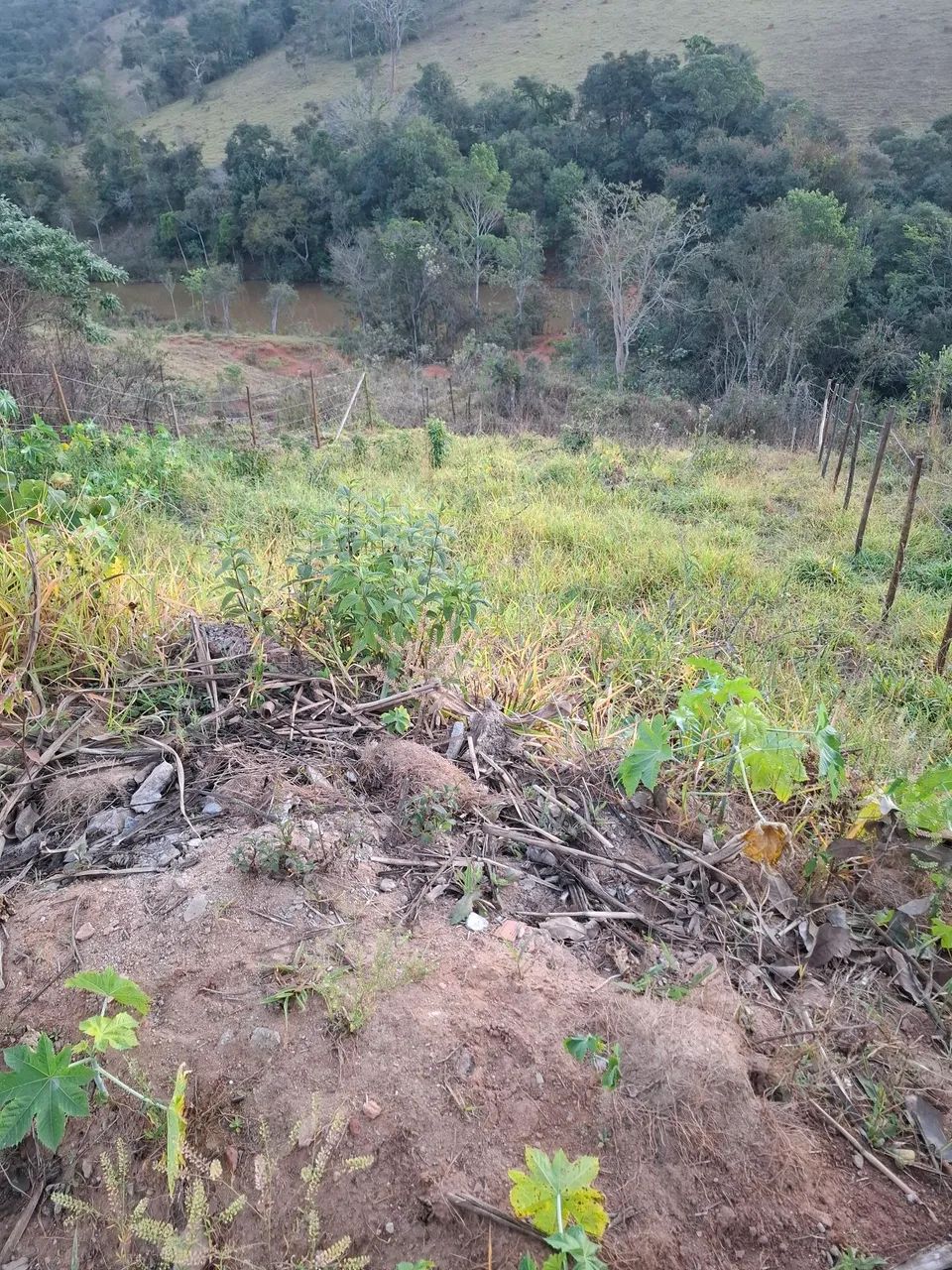 LOTE BAIRRO SAO LUCAS - Foto 4