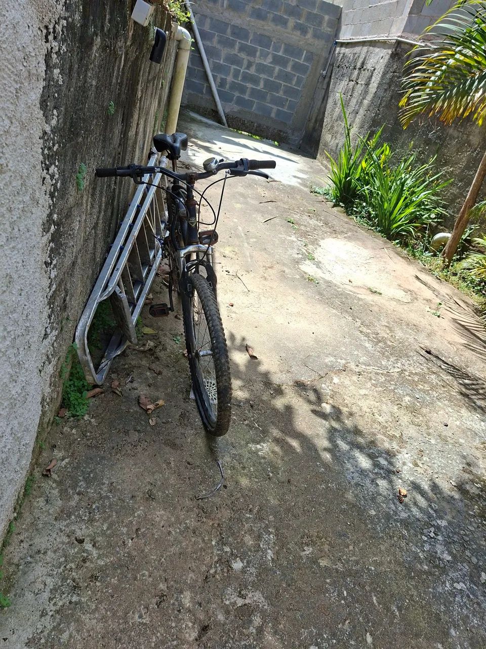 Biscicleta - Foto 3