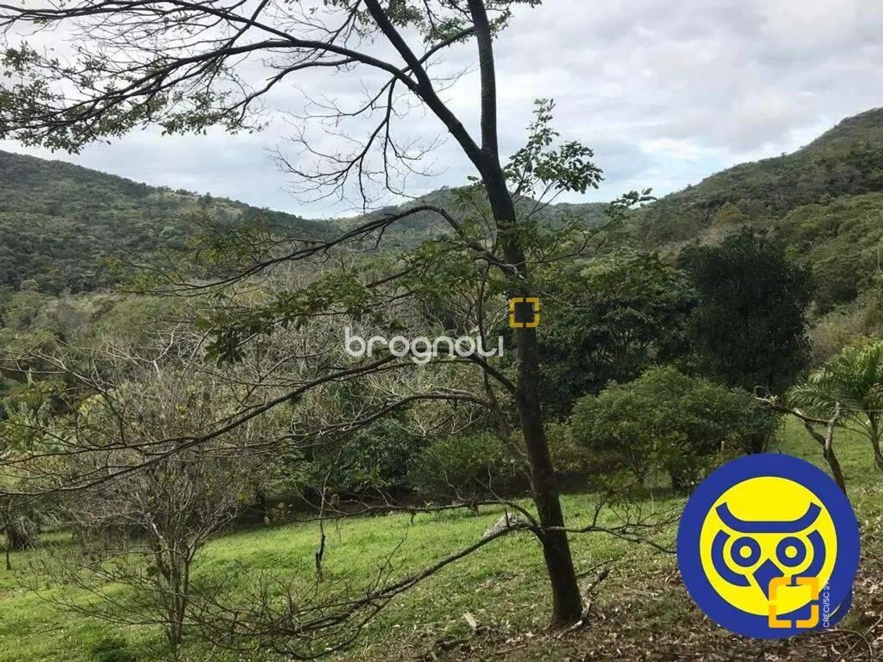Lote/Terreno com 66.151m² - bairro Vargem Grande - Florianópolis - SC - Foto 3