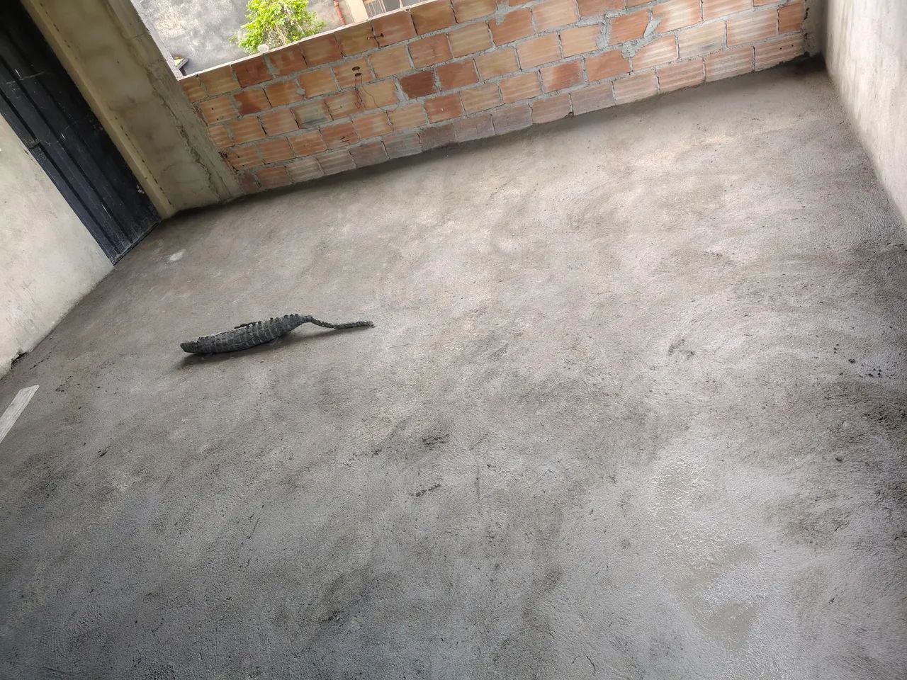 Pedreiro Betim só chama no *