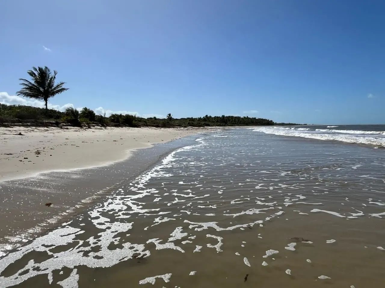Terreno beira-mar, em Santo André, Bahia - Foto 4
