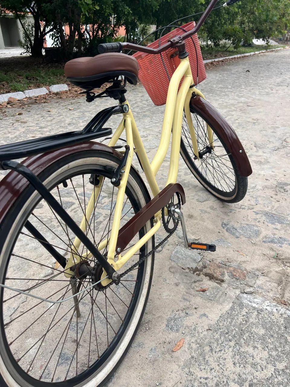 Bicicleta Retrô