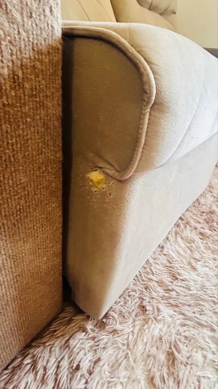 Sofá Retrátil  - Foto 2