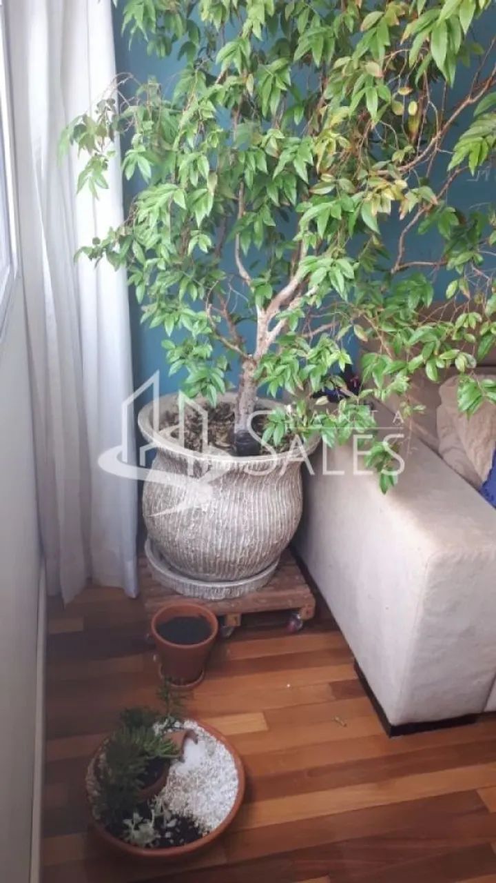 Apartammento de 65 m2 - Foto 4