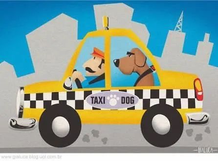 Pet taxi - Foto 2