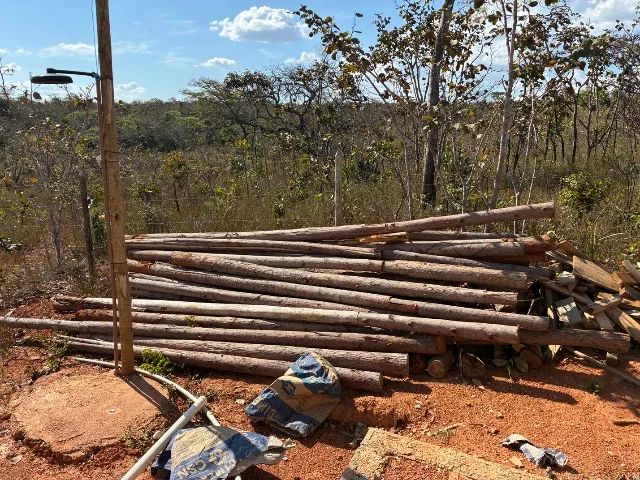 ESCORA DE EUCALIPTO  - Foto 2
