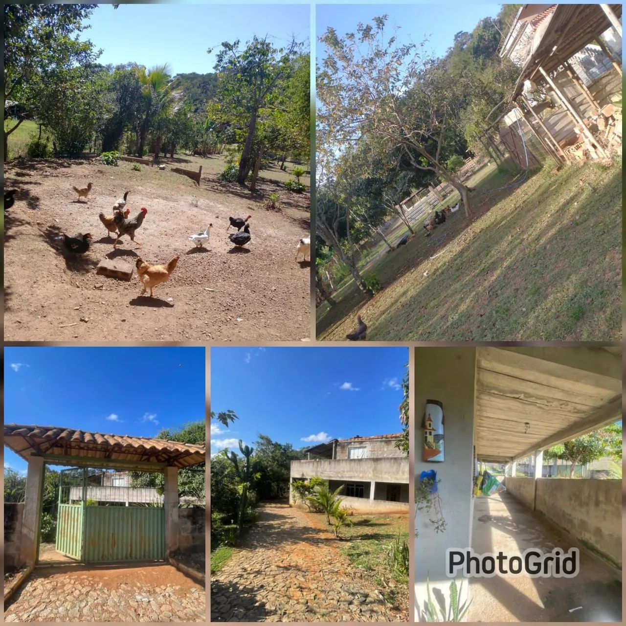 Granja 