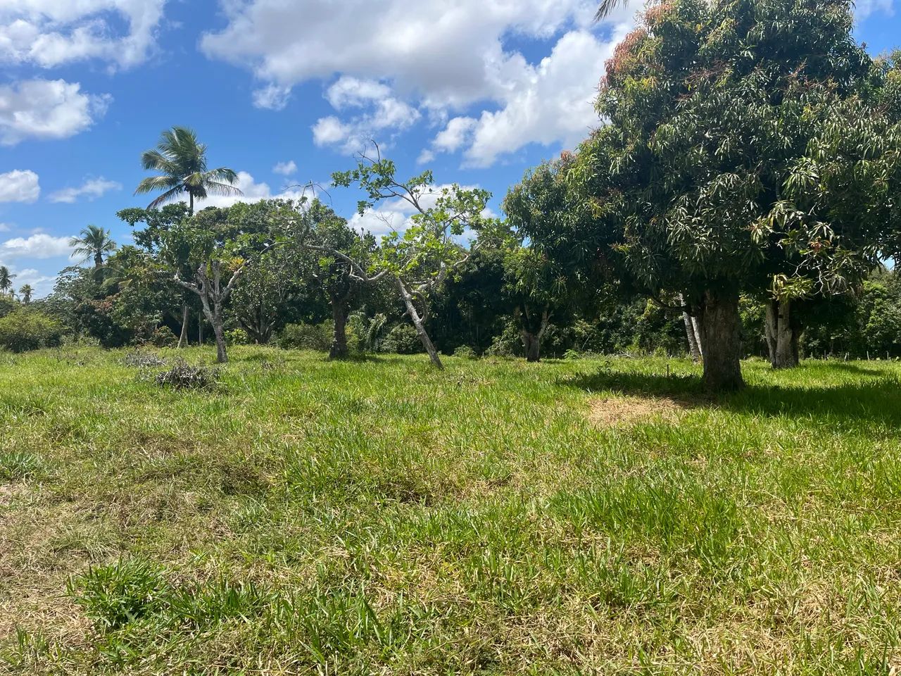 Terreno em Rita Cacete med. 10 x 45 ótima oportunidade!