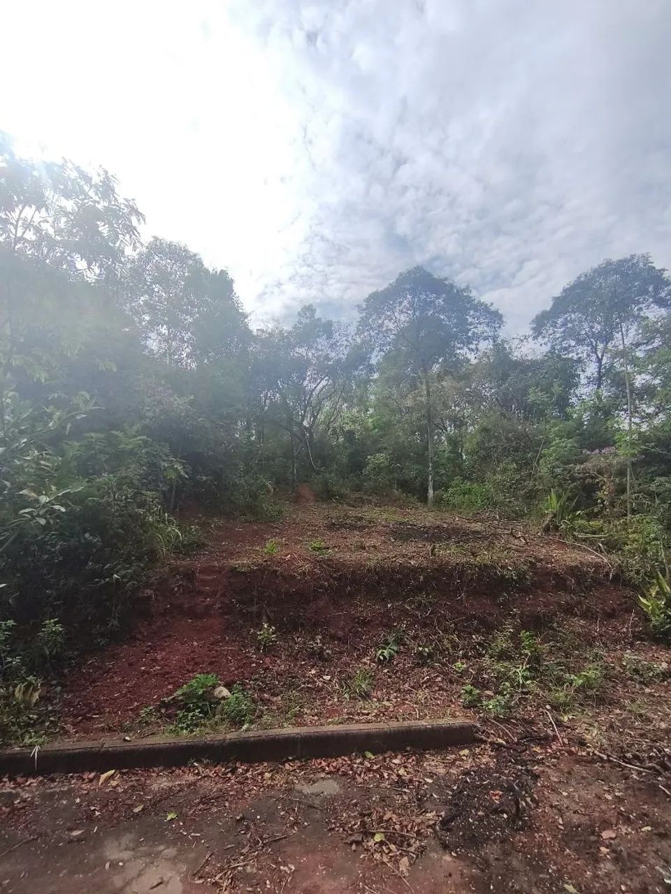 Lote 250 mt²