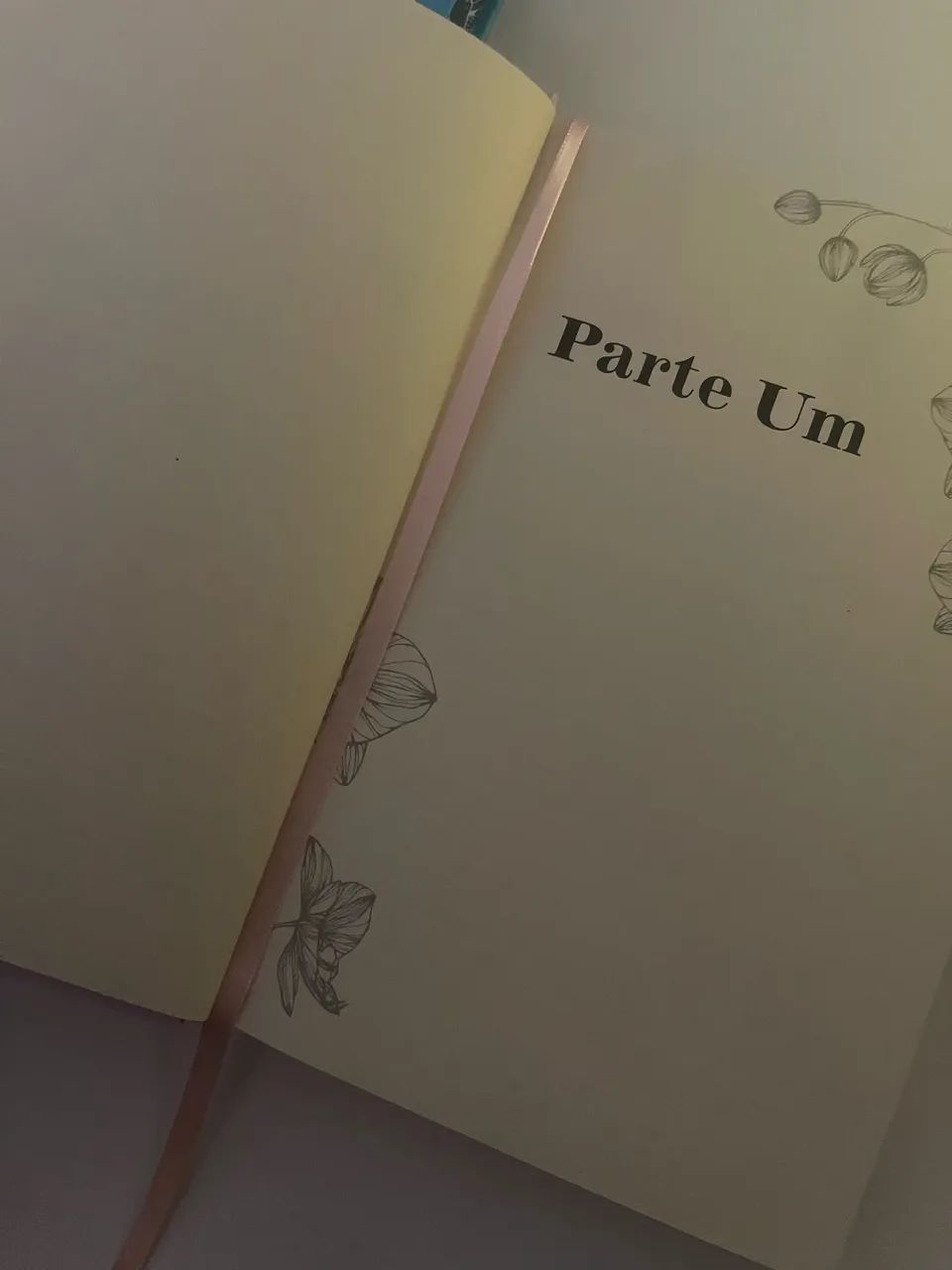 Livro É assim que acaba e É assim que começa - Foto 3