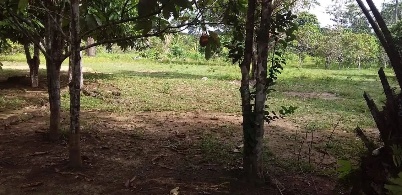 Sítio e chácara  no az3 - Foto 3