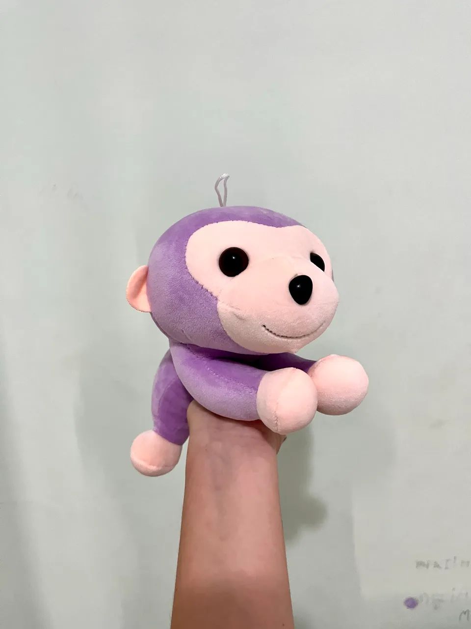 Pelúcia 10 reais 