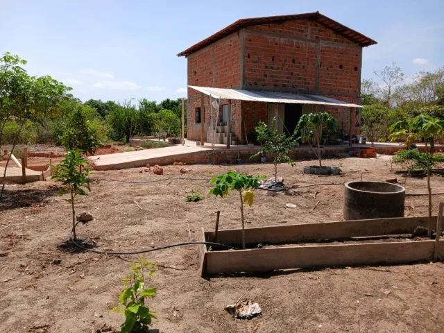 Chácara 3.000 m² com casa, pomar e poço artesiano - Foto 5