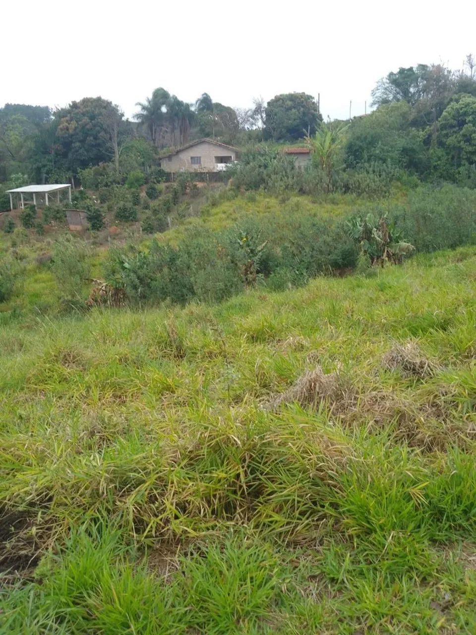 Sitio  - Foto 4