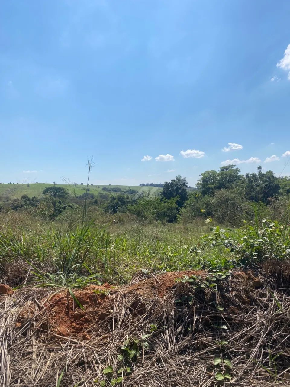 terreno - Sousas - Campinas - Foto 2