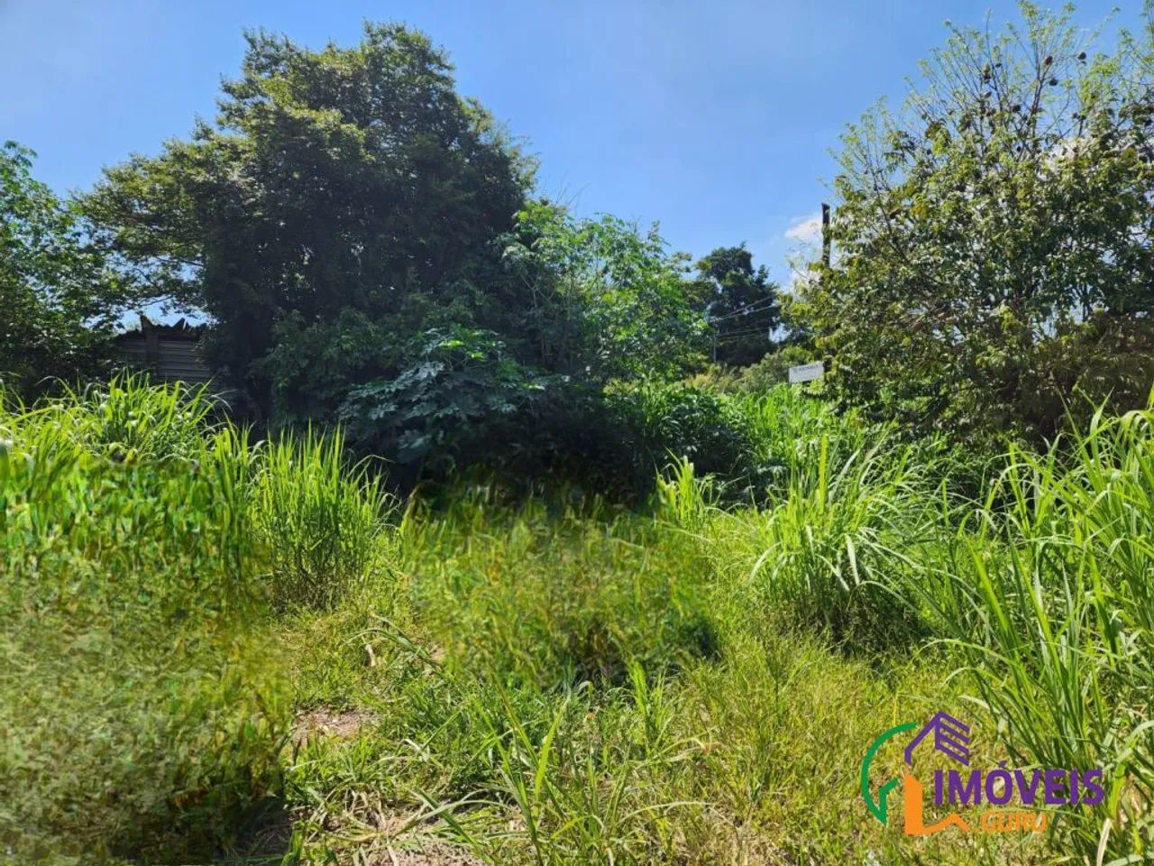 COMERCIAL - VILA SÃO CRISTÓVÃO - SP - Foto 4