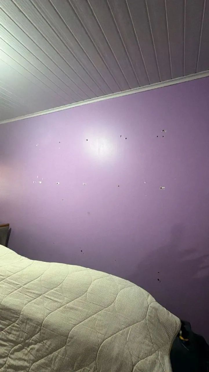 Pintor  - Foto 4