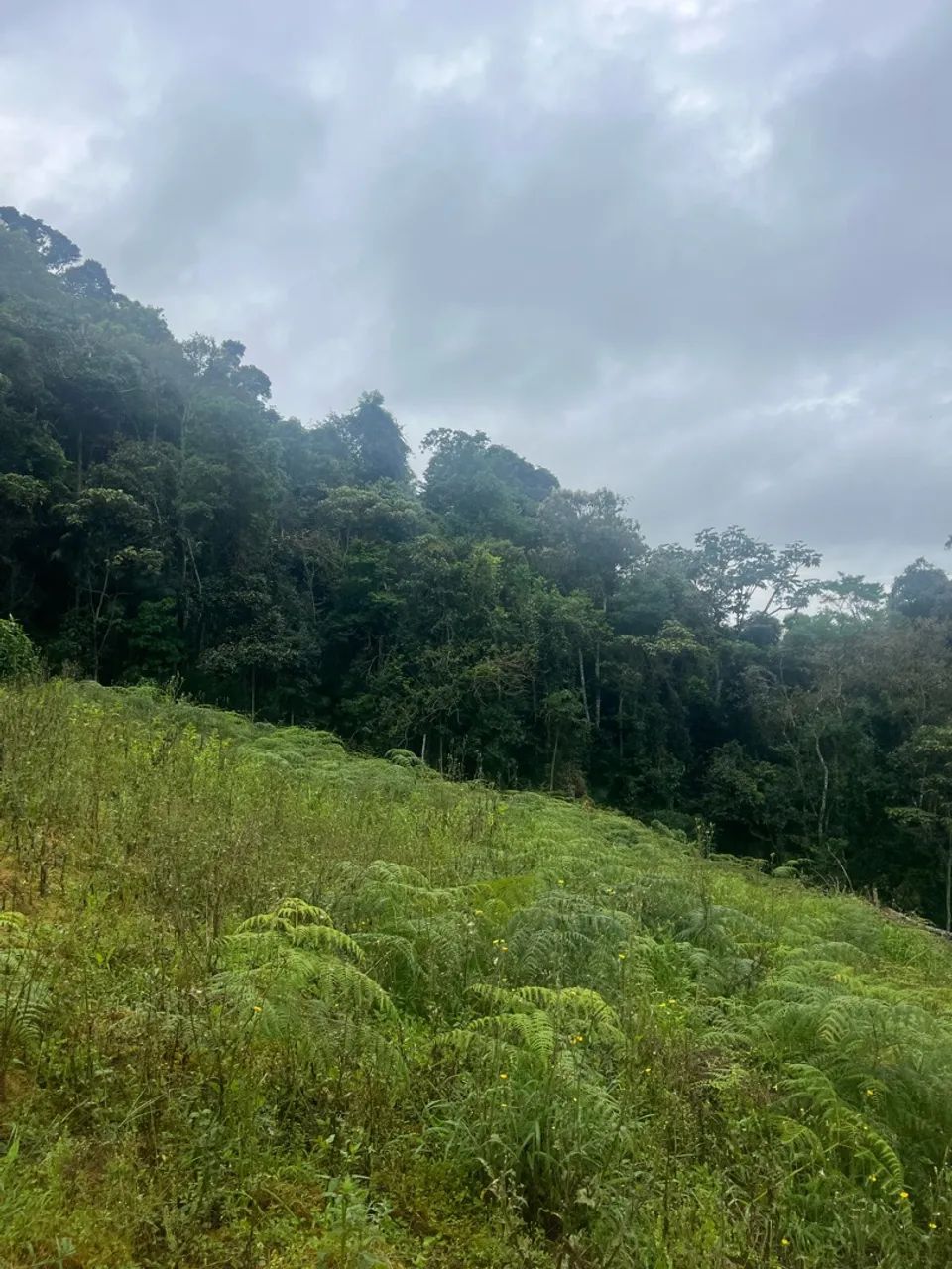 Terreno com rio em Pedra Azul  - Foto 5