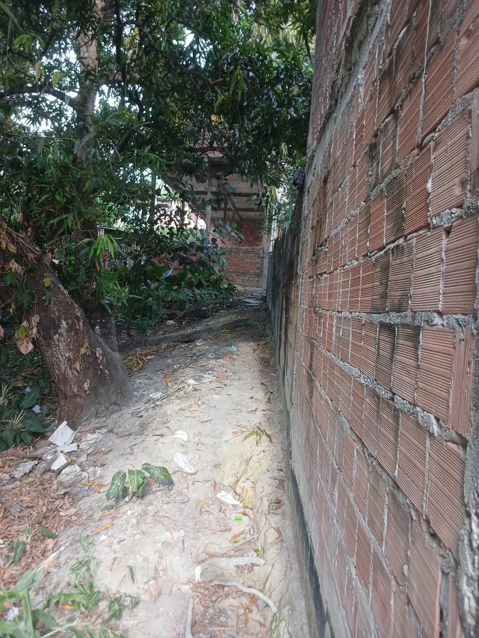 Terreno no bairro colônia terra nova - Foto 2