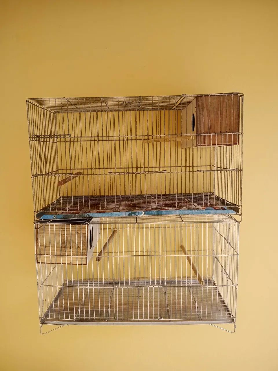 02 gaiolas agaporne