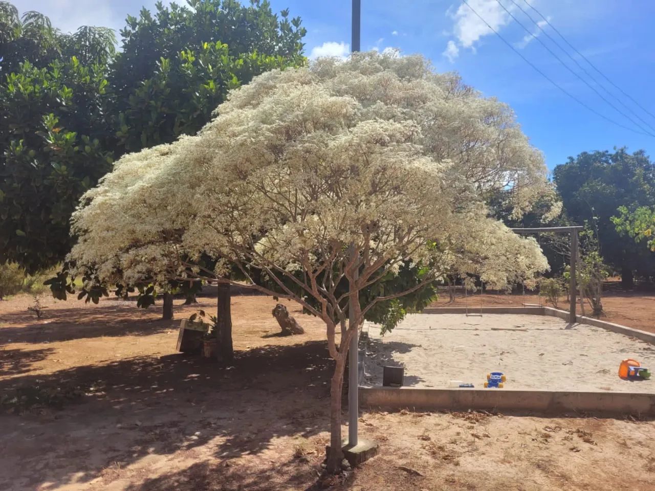 Chacara PaDF proximo ai cafe sem troco - Foto 4