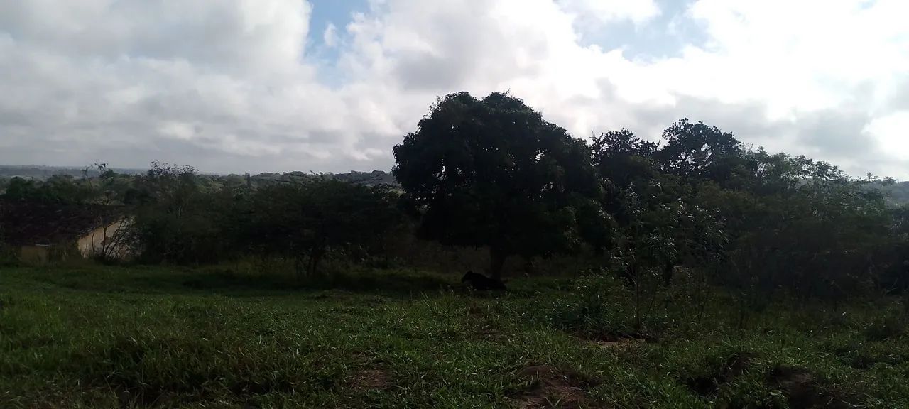 Terreno - Foto 3