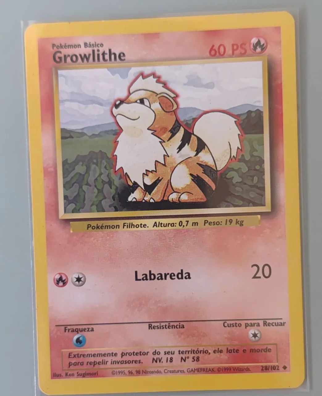 Carta Pokemon Growlith TCG original base set SP